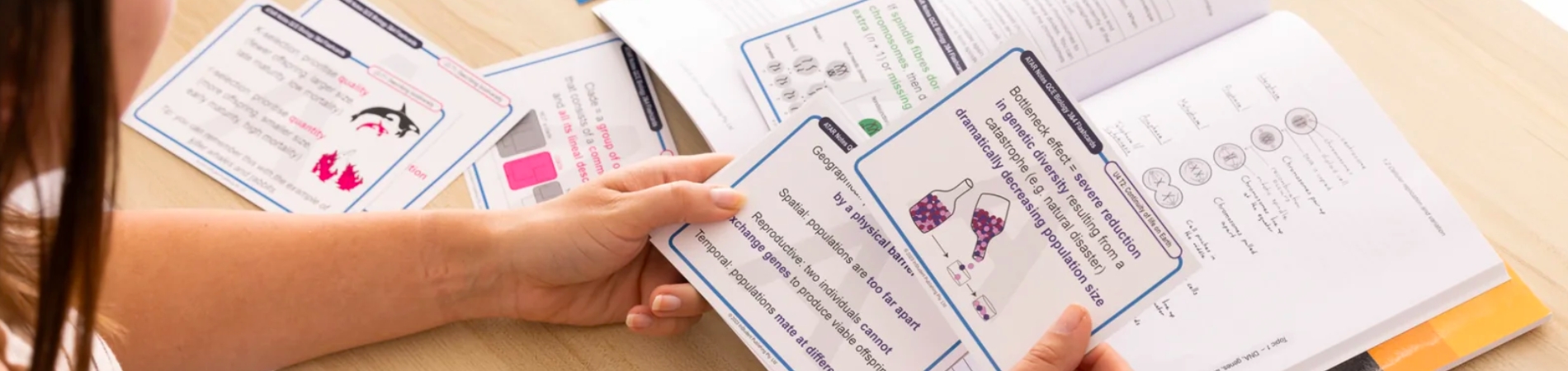 How flashcards can help you study