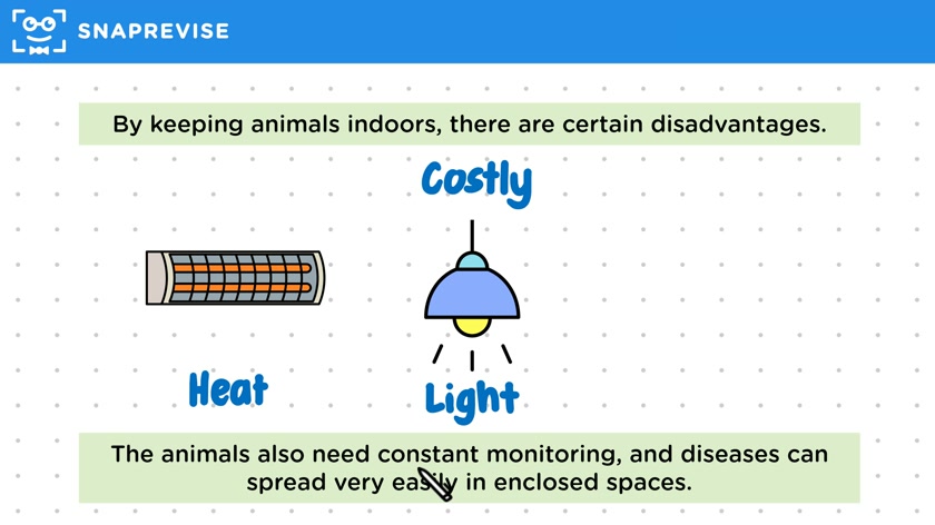 Modern Intensive Farming