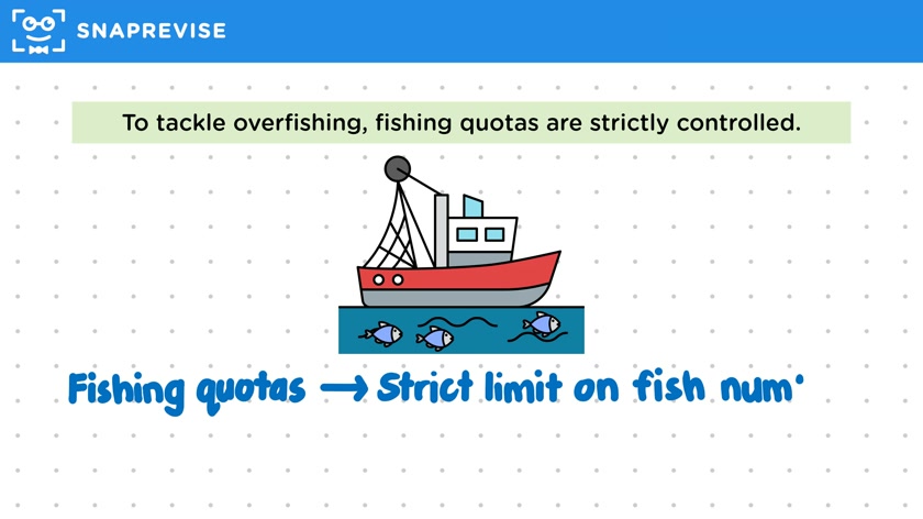 Sustainable Fishing