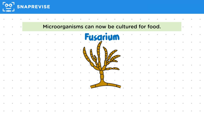 Biotechnology Food Solutions