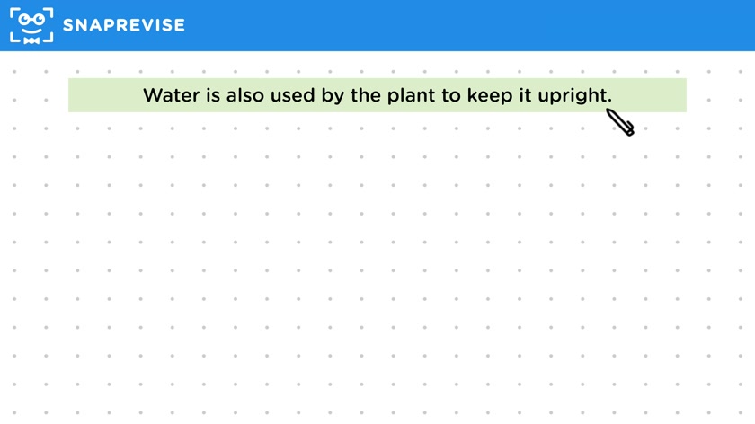 Transpiration Use in Plants