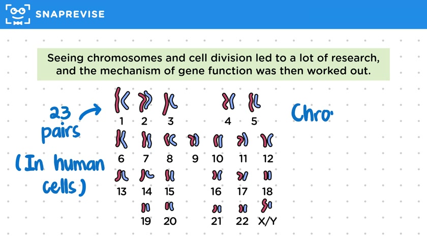Gene Theory