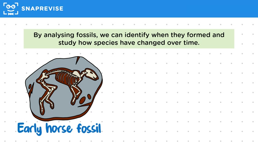 Evidence for Evolution