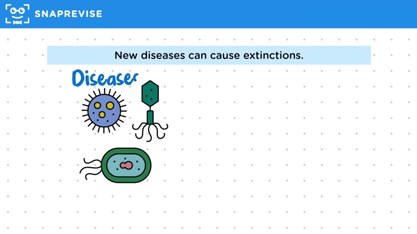 Extinction