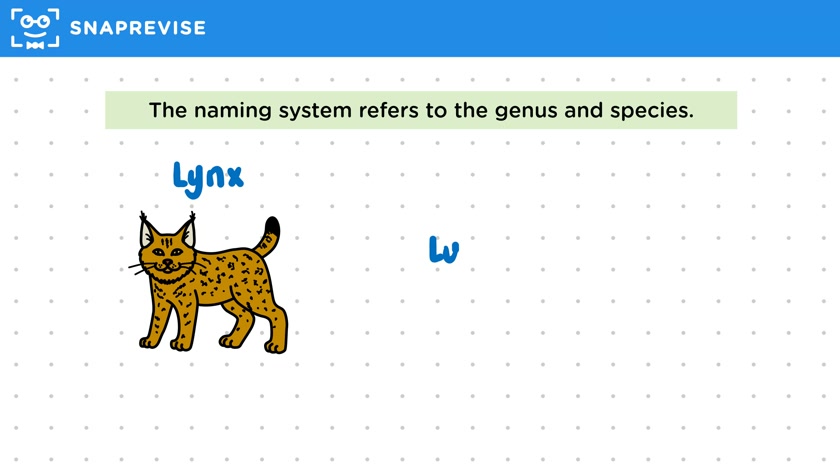 Binomial Naming System