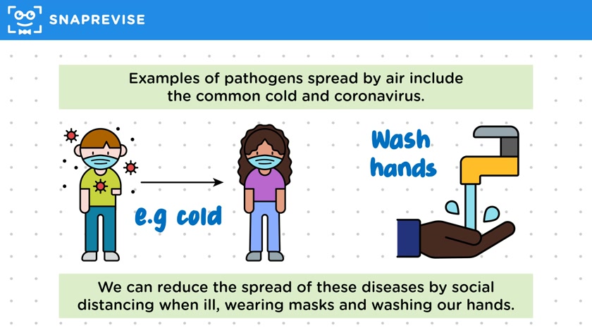 How Diseases Spread