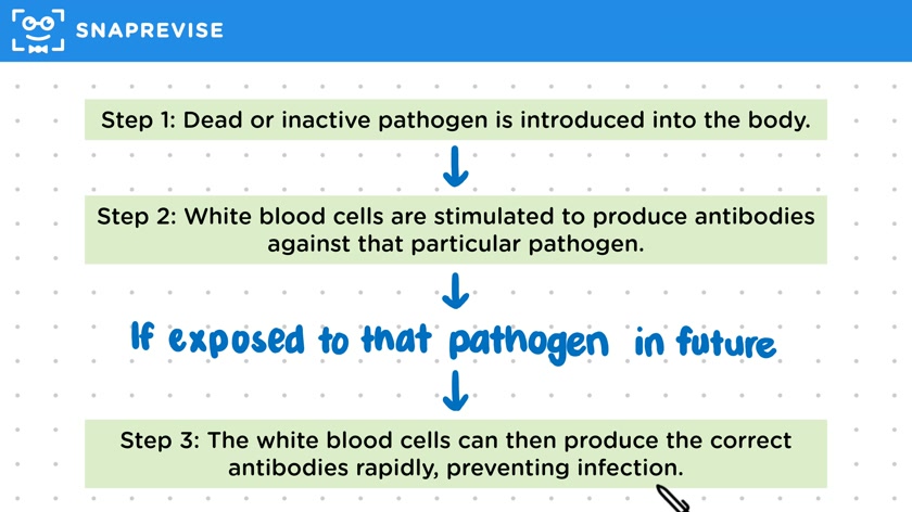 Vaccination