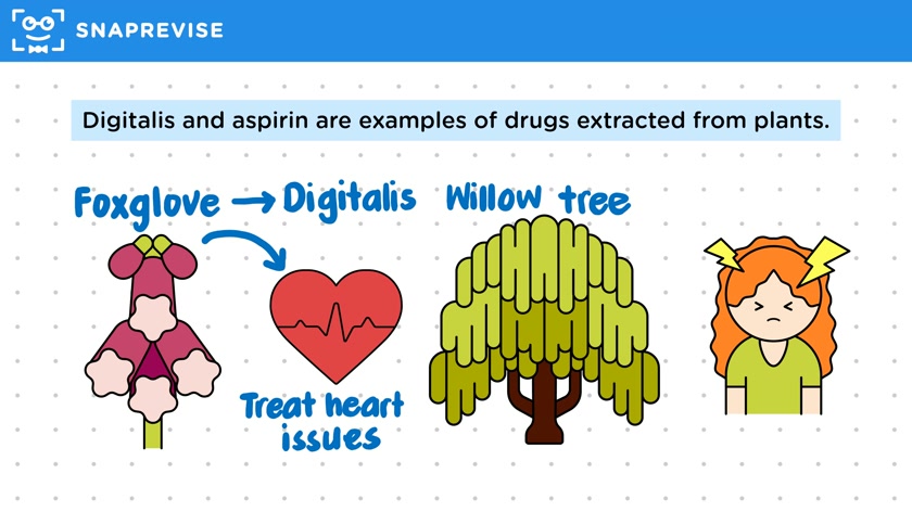 Drug Discovery