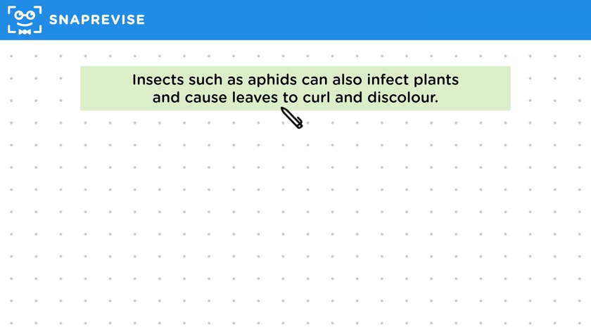 Plant Diseases