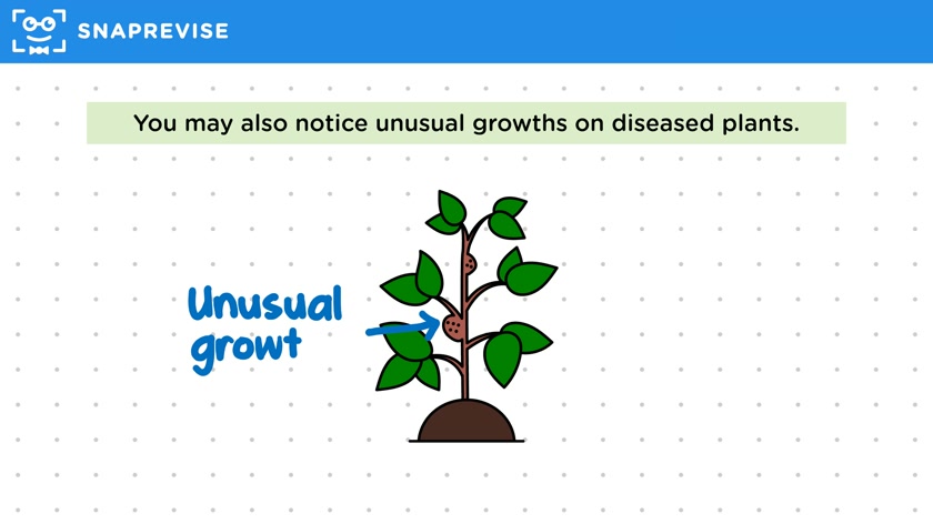 Detecting Plant Diseases
