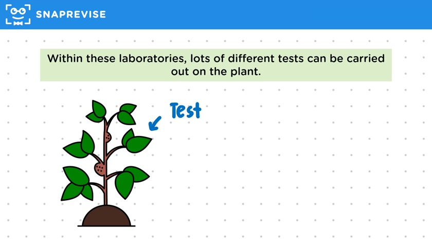 Identifying Plant Diseases