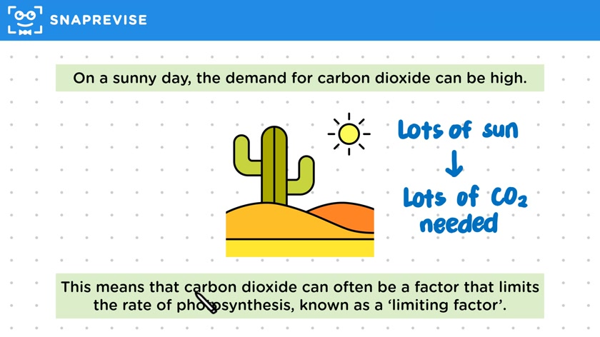 Carbon Dioxide & Photosynthesis
