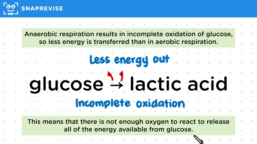 Anaerobic Respiration