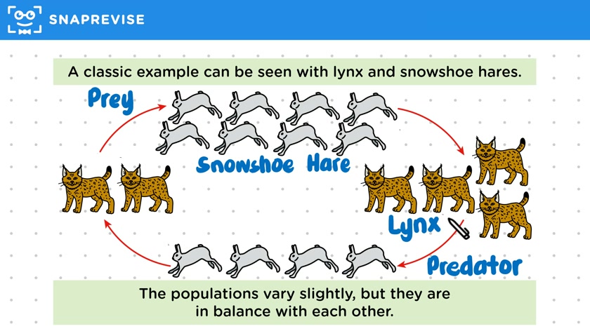 Stable Communities