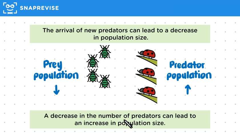 Examples of Biotic Factors