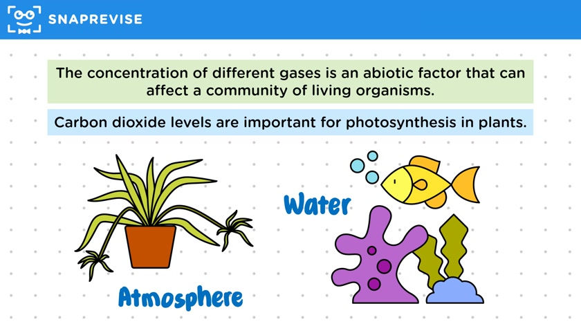 Abiotic - Gases