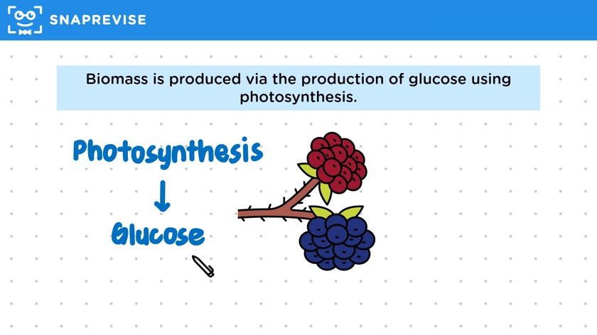 Biomass
