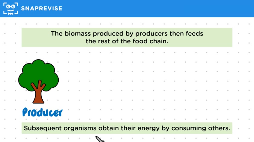 Food Chains