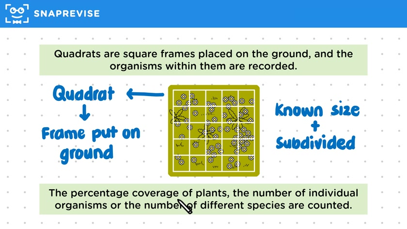 Quadrats & Transects