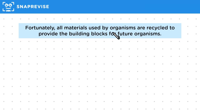 Ecosystem Cycles