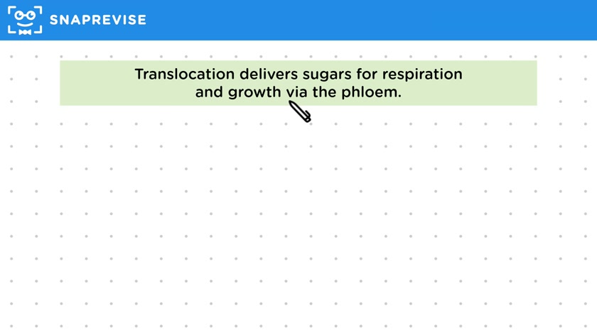Translocation