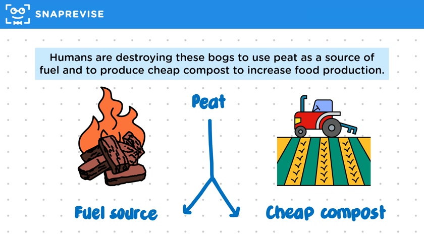 Peat Bogs