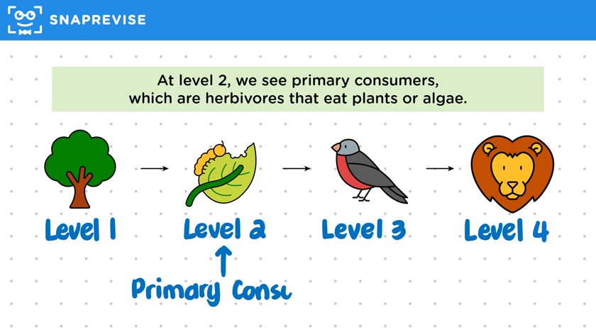Trophic Levels