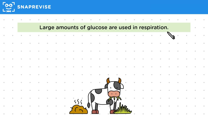 Explaining Biomass Loss