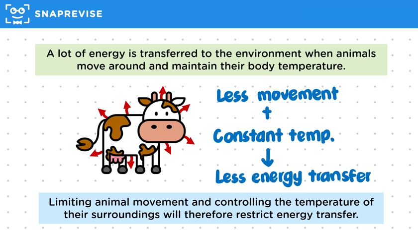 Efficiency of Food Production