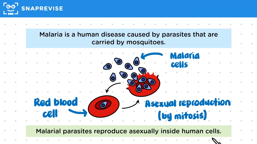 Switching Reproductive Methods