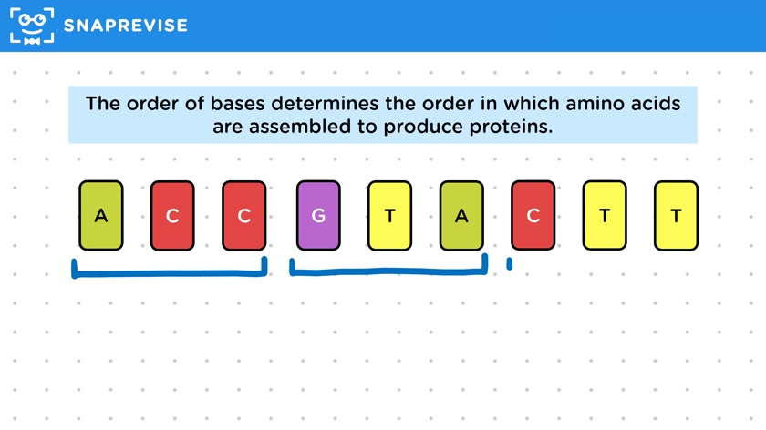 DNA's Genetic Code