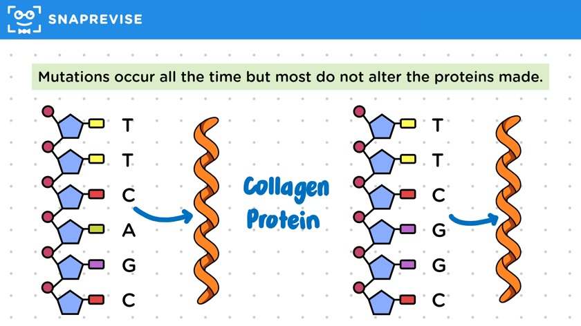 Mutations