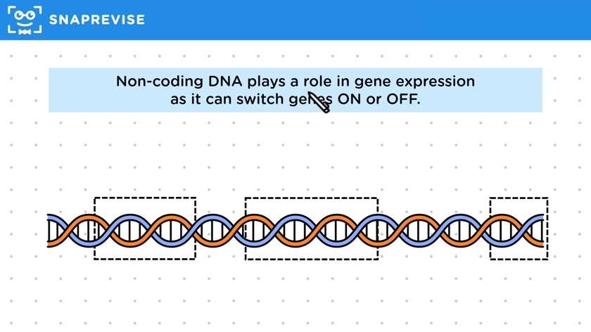 Coding & Non-Coding DNA