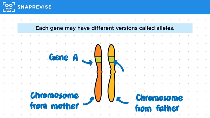 Genetic Inheritance