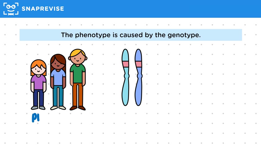 Phenotype