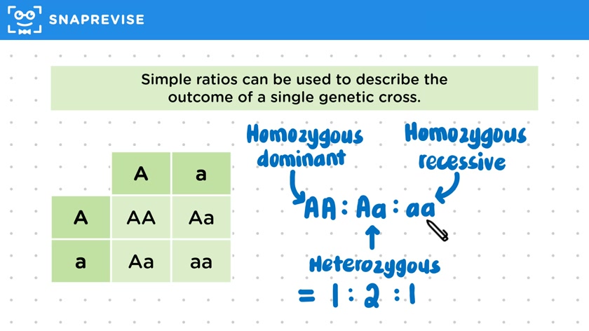 Genetic Crosses & Probability