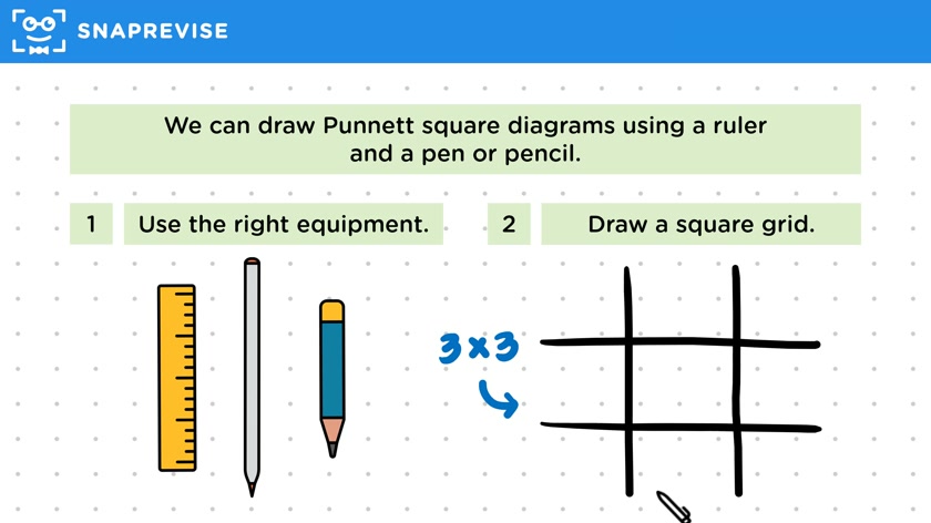 Drawing Punnett Squares