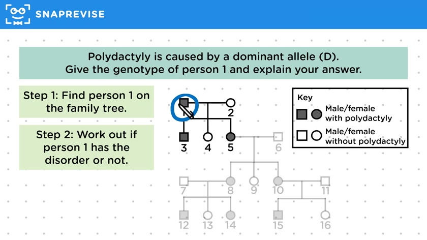 Family Trees