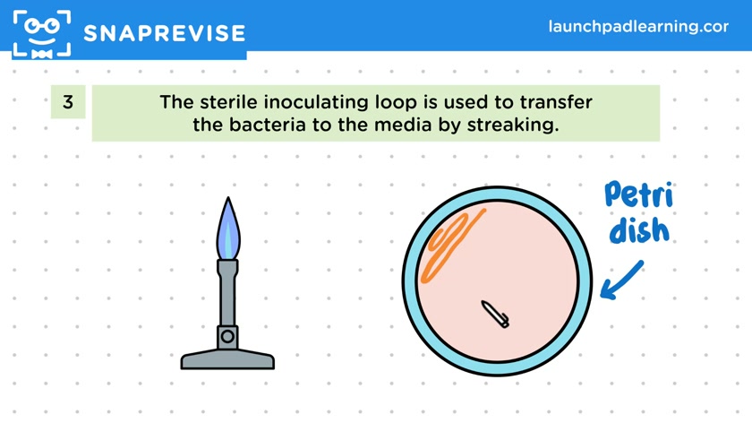 Aseptic Techniques