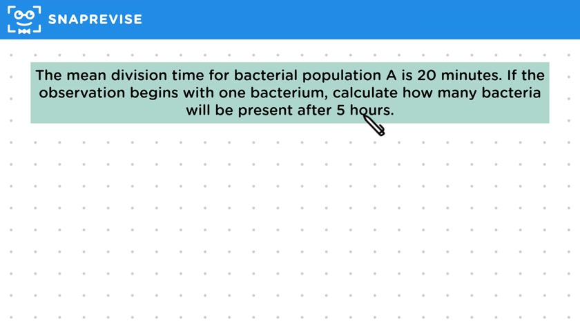 Bacterial Population Size
