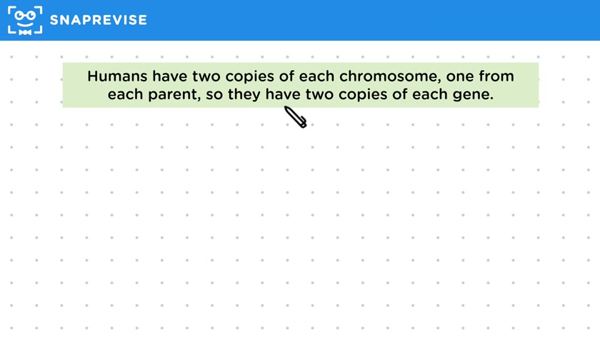 Genes & Alleles