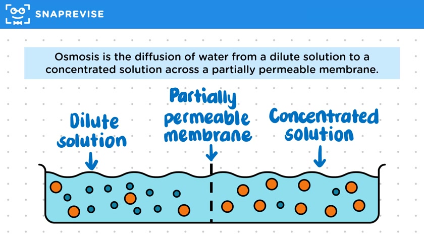 Defining Osmosis