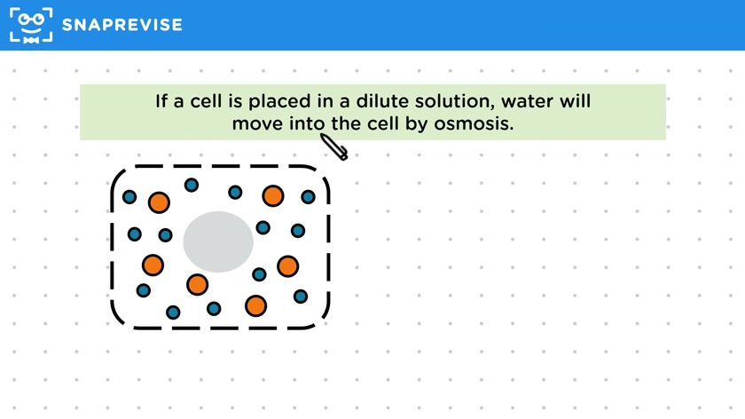 Comparing Water Concentrations
