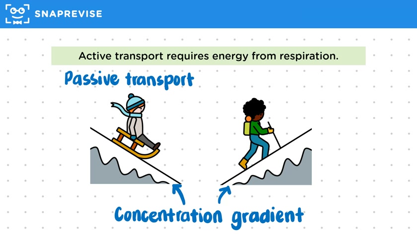 Defining Active Transport