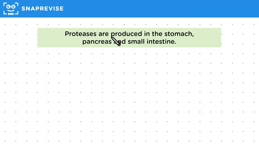 Proteins & Proteases