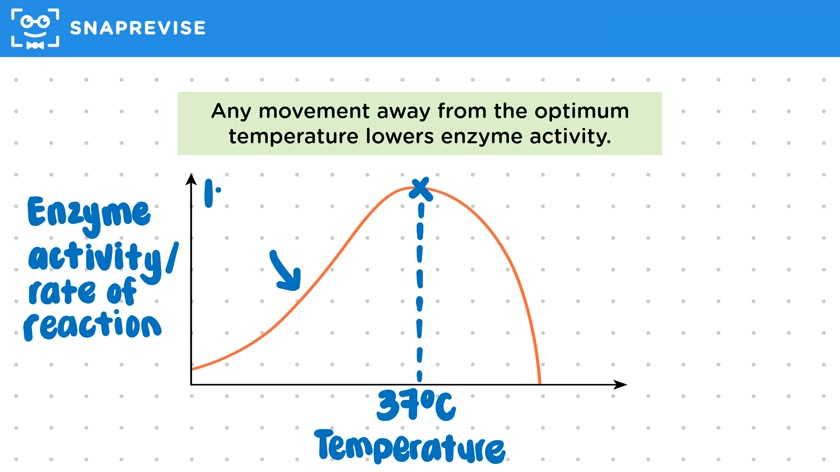 Enzymes & Temperature