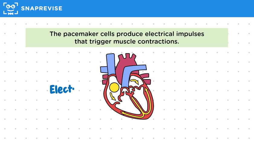Controlling Heart Rate
