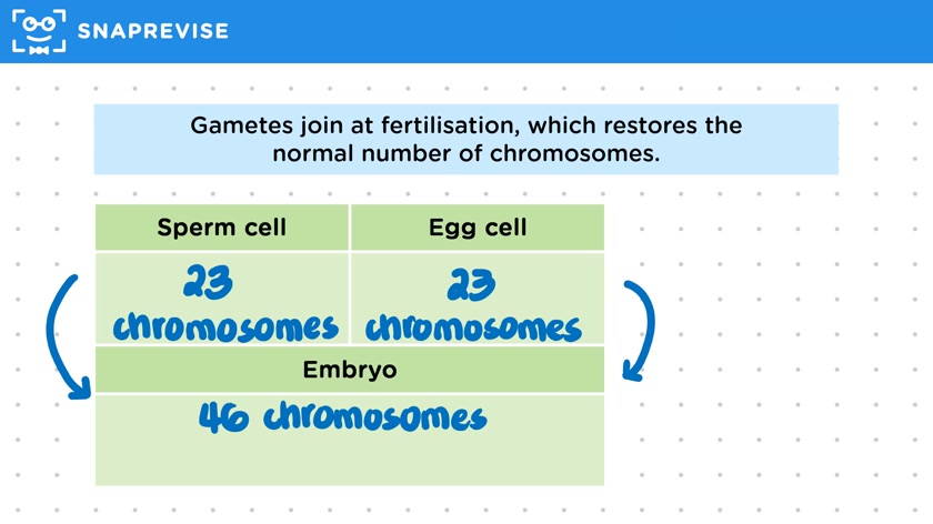 Sexual Reproduction