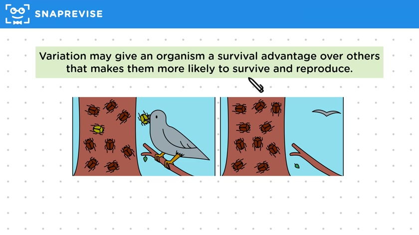 Advantages of Sexual Reproduction
