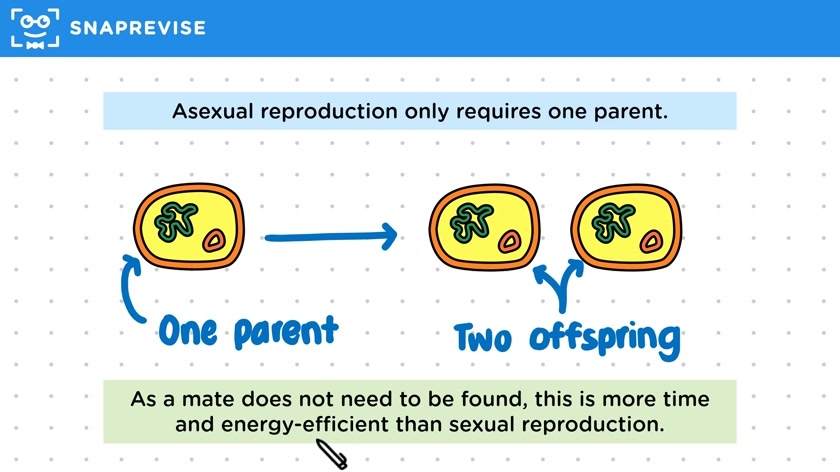 Advantages of Asexual Reproduction